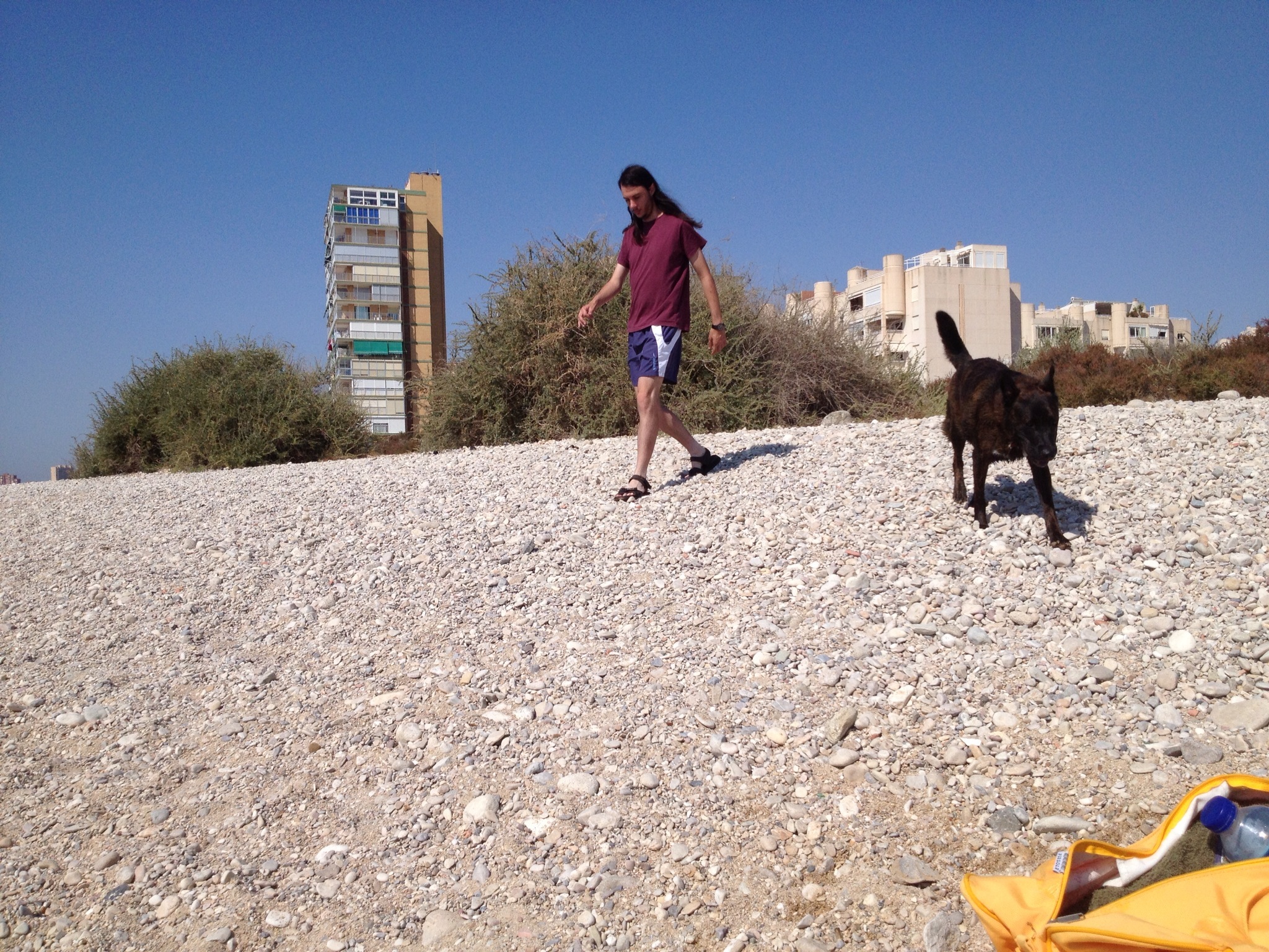 Apartamentos que admiten mascotas en la playa