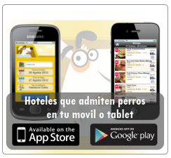 Apartamentos que admiten mascotas en gran canaria