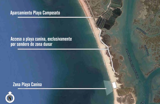 Playa para perros de Camposoto