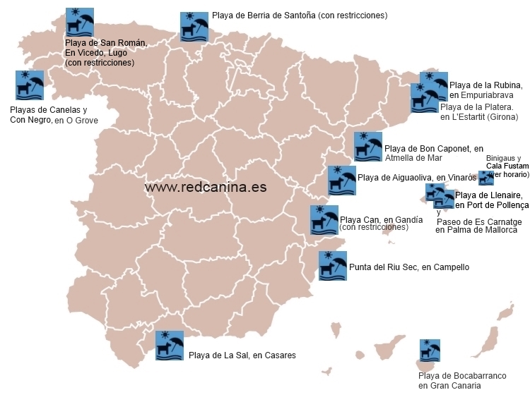 Playas para Perros en España 2013