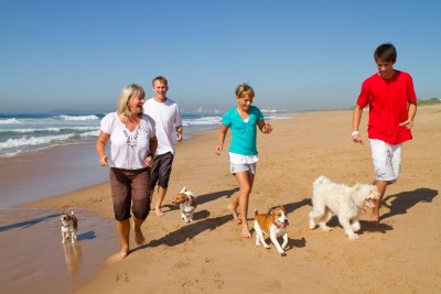 playas para perros en España 2015