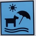 Playas para perros en Galicia