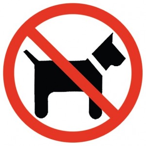 playas prohibido perros