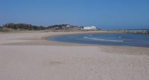 playa para perros de Vilanova i la Geltrú, en la provincia de Barcelona
