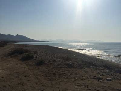 historia adecuado Tibio Playa de las Cobaticas para perros en Mazarron - RedCanina.es