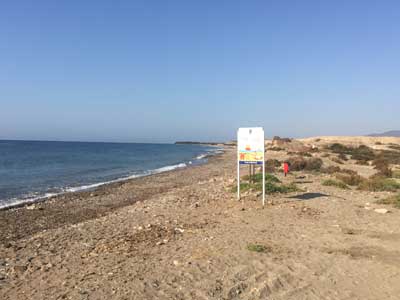 Cambiable Error Molesto Playa de las Cobaticas para perros en Mazarron - RedCanina.es