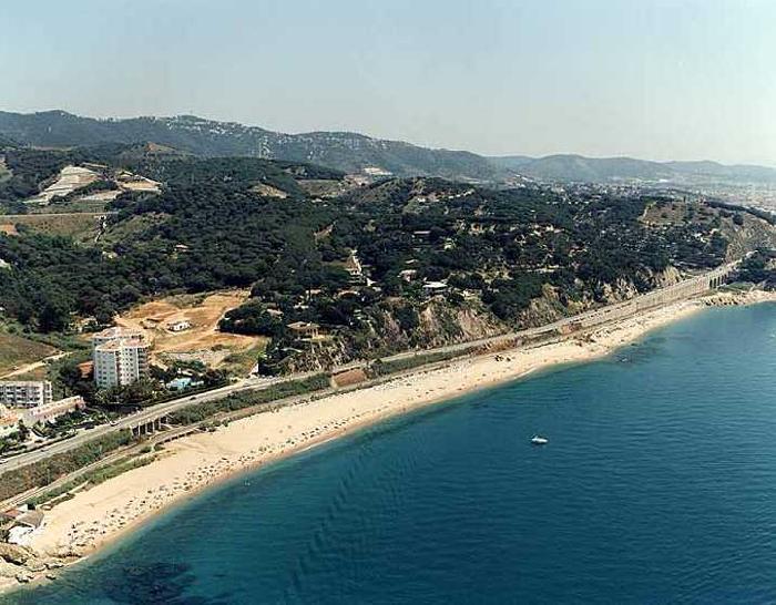 Playa para perros de Alcanar, Tarragona