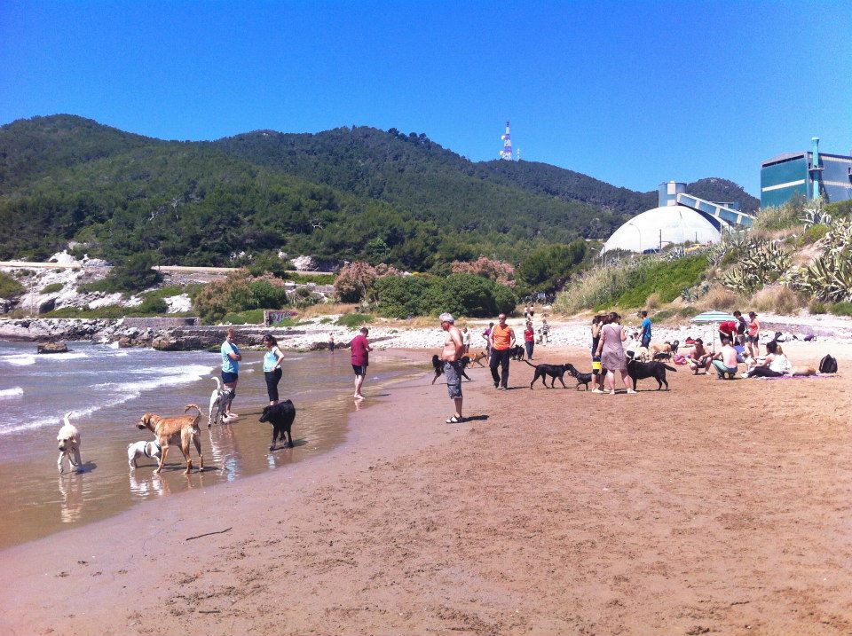 Playa para perros Vallcarca en Sitges