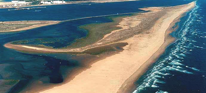 Playas para perros en Huelva