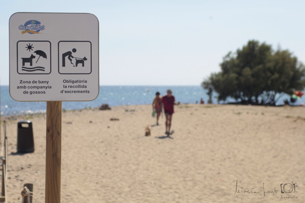 notificación Vandalir legación Playas para perros en Cataluña - ACTUALIZADO 2023 - RedCanina.es