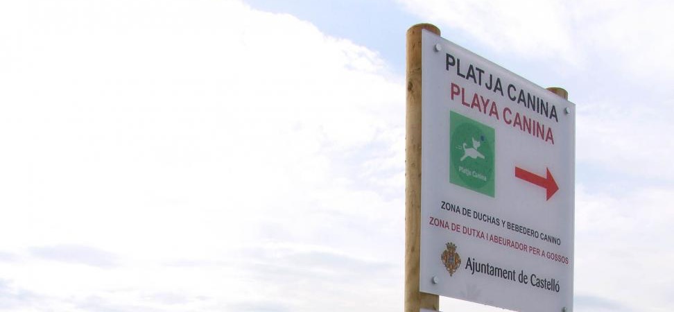 Playas para perros en Castellón – ACTUALIZADO 2024